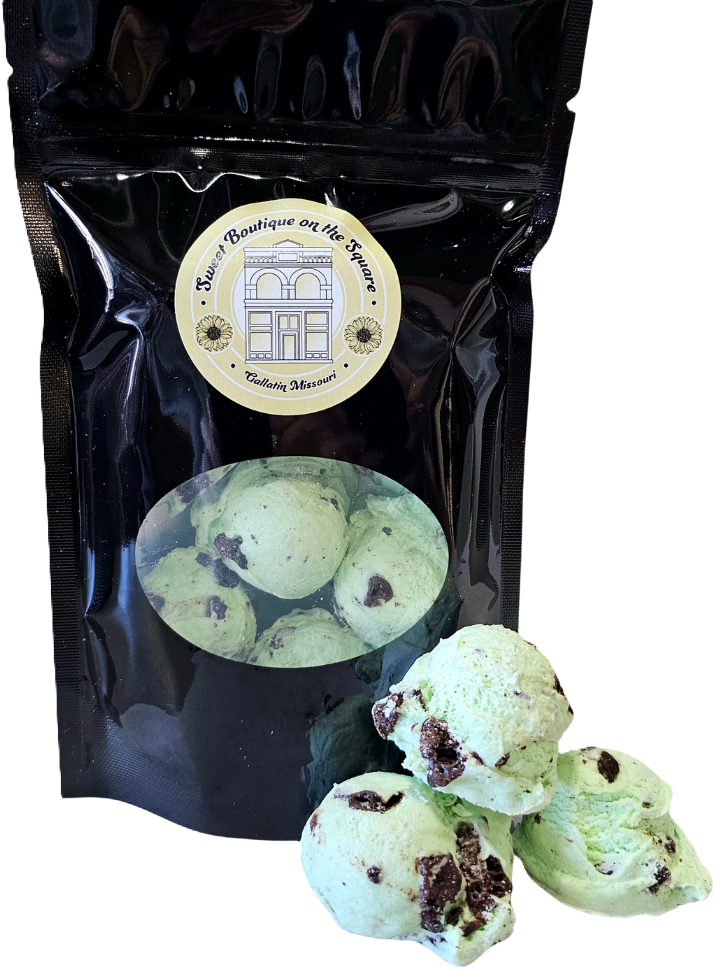 Mint Chocolate Chip - Freeze Dried Ice Cream